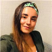 Doy clases particulares de apoyo escolar en Educación Primaria y Secundaria